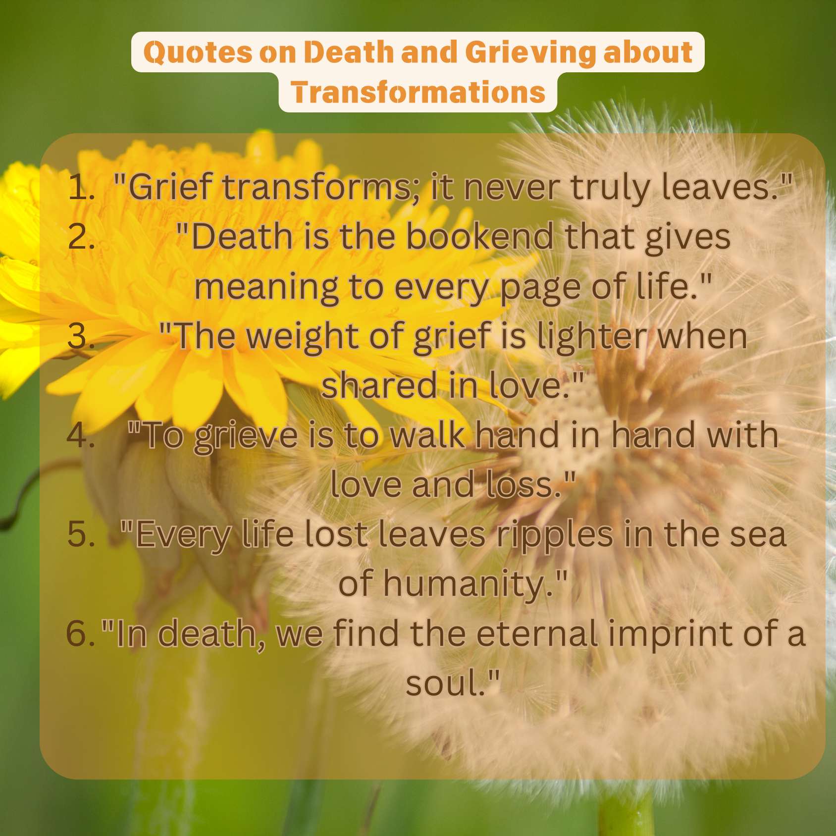 Quotes on Death and Grieving about Transformations